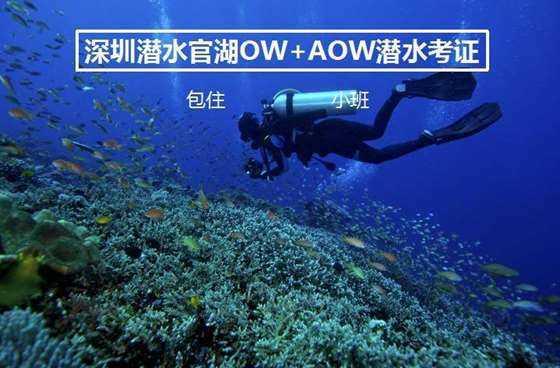 逃离办公室房间