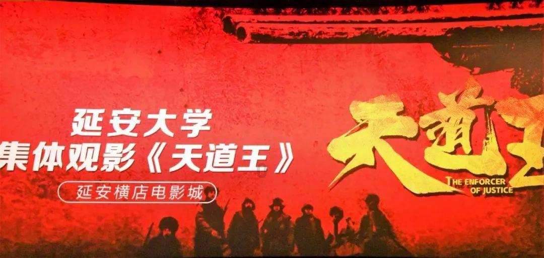 小猫钓鱼正版下载中文版