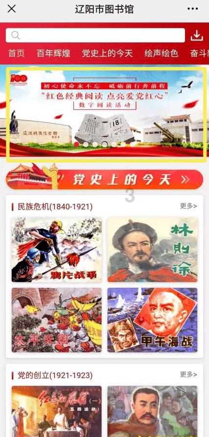 拯救受伤的猫