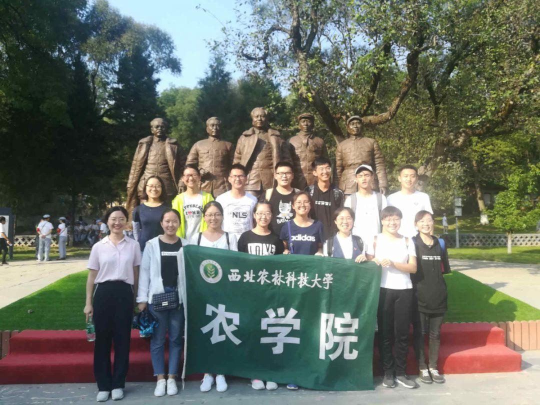 精灵嘉年华