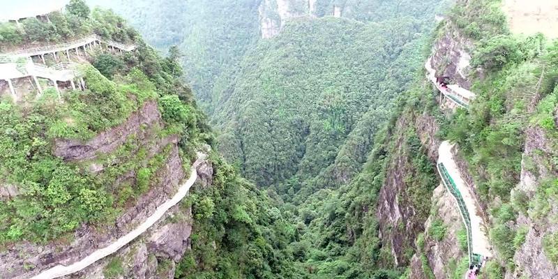 蜜蜂向上跳