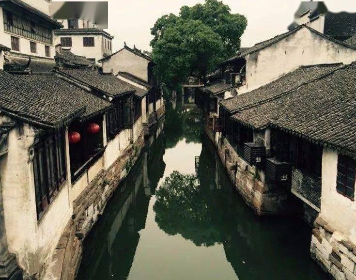 美丽的铅笔裙
