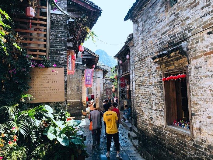 《生命平等—天下大同》：引领人类走向新文明的灯塔